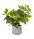 PLANTA HIEDRA 39CM 602152