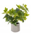 PLANTA HIEDRA 39CM 602152