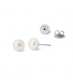 PENDIENTES ACERO BPE931 PERLA 8MM