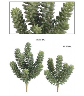 PICK SEDUM 17CM PT-2471701