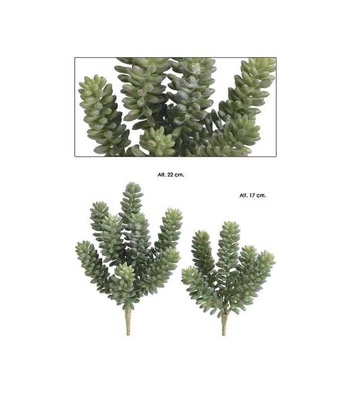 PICK SEDUM 17CM PT-2471701