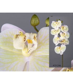 ORQUIDEA MARFIL 79CM 410-246