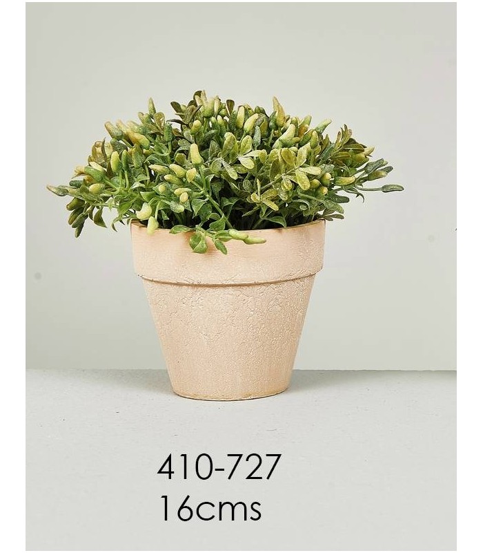 MACETA BROTES 16CM 410-727