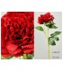 PEONIA TACTO REAL 56CM 618-016/7/8/20