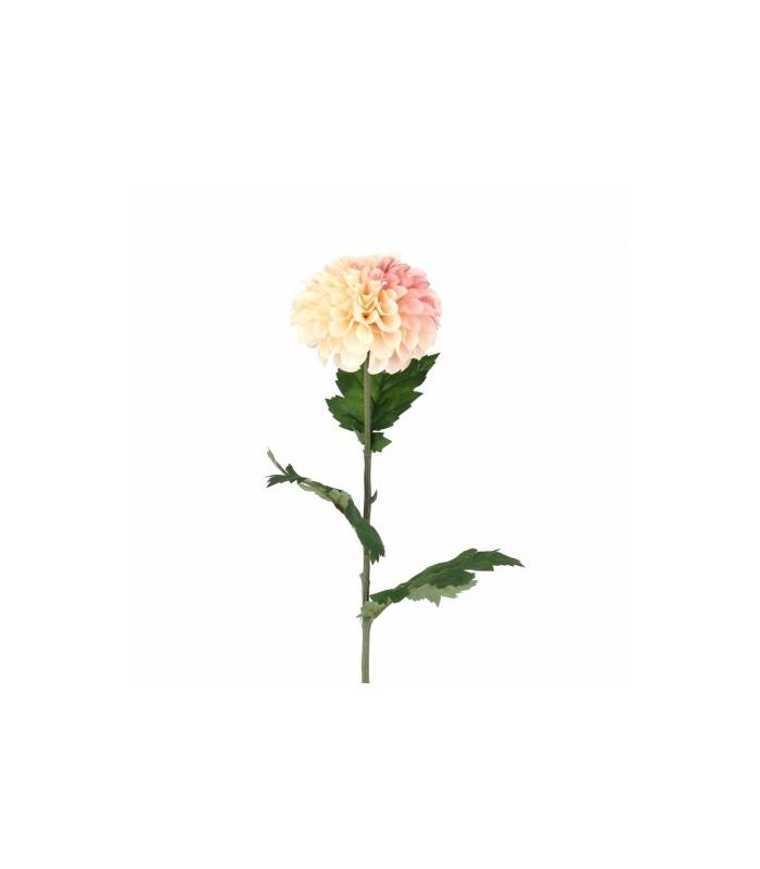 DALIA POMPON 75CM 165-0151/2