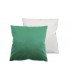 COJIN VERDE/BEIG 667891/2