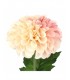DALIA POMPON 75CM 165-0151/2
