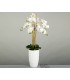 MACETA ORQUIDEA 35*100CM 410-210