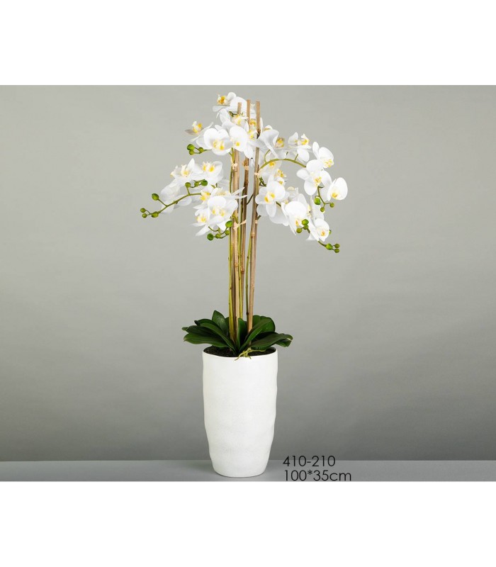 MACETA ORQUIDEA 35*100CM 410-210