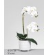 MACETA ORQUIDEA  51CM 410-738