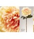 PEONIA PEACH 66CM 472-551