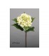 HORTENSIA BLANCA 61CM 579-004