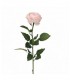ROSA 71CM 276-02PK/PL/WT
