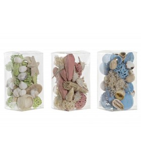 SET CONCHAS NATURALES  DH-185813