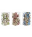 SET CONCHAS NATURALES  DH-185813