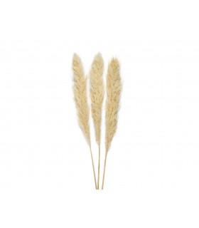 FLOR SECA PAMPAS CR 3 UNI AX70132