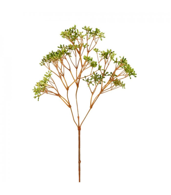 BAYAS SILVESTRES 66CM 276-07