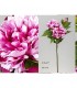 PEONIA FUCSIA 66CM 410-677