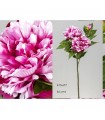 PEONIA FUCSIA 66CM 410-677