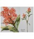 RAMA SKIMMIA 74CM 472-770/1