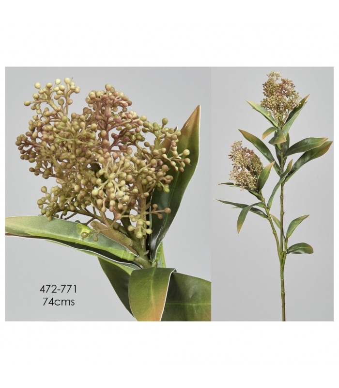 RAMA SKIMMIA 74CM 472-770/1