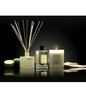 MIKADO PREMIUM 100ML C/VARILLAS