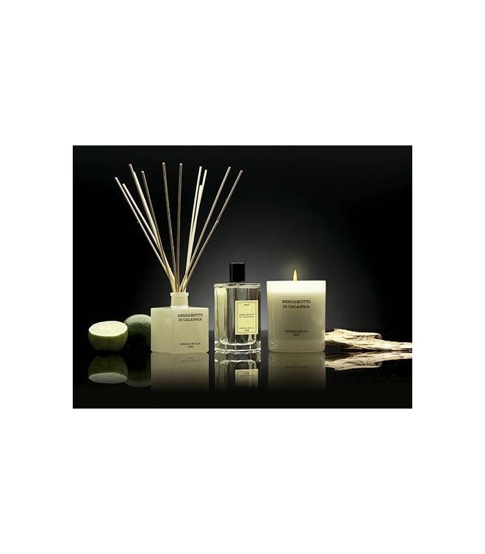 MIKADO PREMIUM 100ML C/VARILLAS