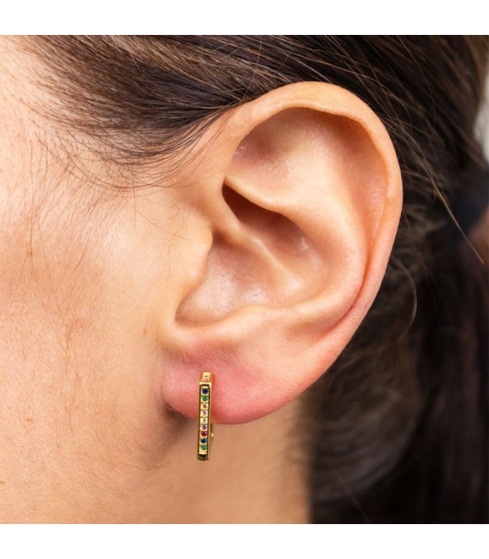 PENDIENTES PLATA CON CIRCONITAS PE501