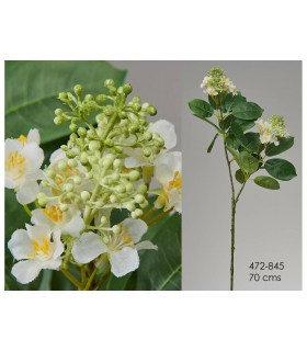 RAMA PENTAS 70CM 472-845