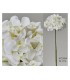 HORTENSIA 34CM 472-854/6