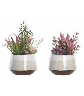 PLANTA 17-15.5*24CM JA-204487