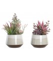 PLANTA 17-15.5*24CM JA-204487