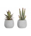 PLANTA 10*10*20CM JA-204488