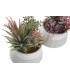 PLANTA 17-15.5*24CM JA-204487