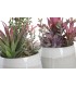 PLANTA 17-15.5*24CM JA-204487