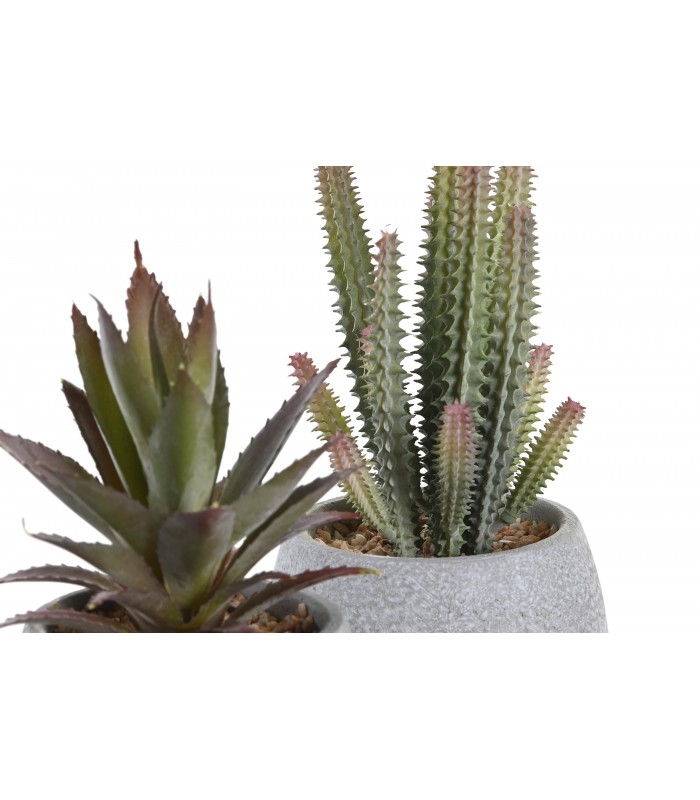 PLANTA 10*10*20CM JA-204488