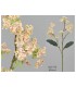 RAMA VIBURNUM 69CM 472*775